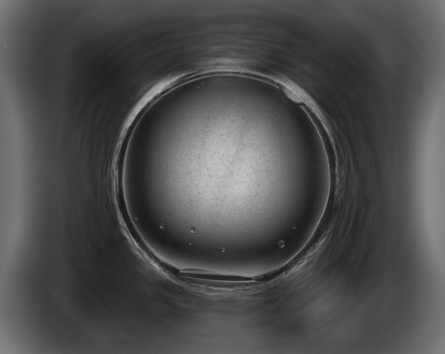 X0000085041341200703051342