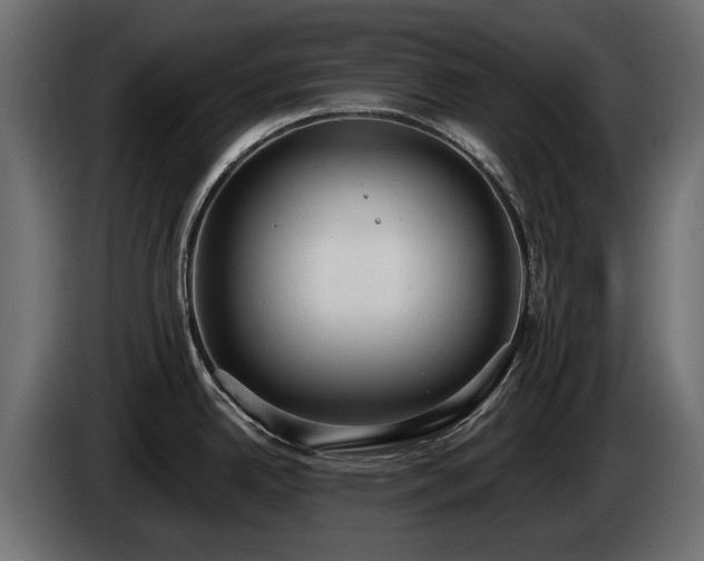 X0000085041342200703051342