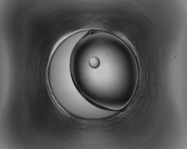 X0000085041344200703051342