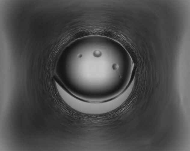X0000085041345200703051342