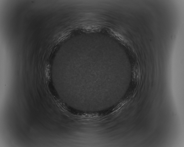 X0000085041346200703051342