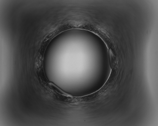 X0000085041349200703051342