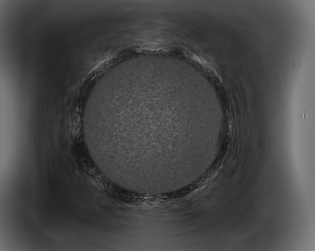 X0000085041350200703051342
