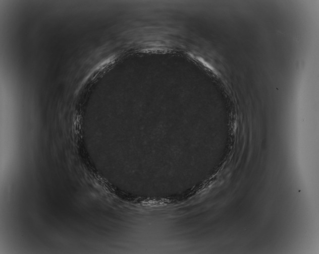 X0000085041351200703051341