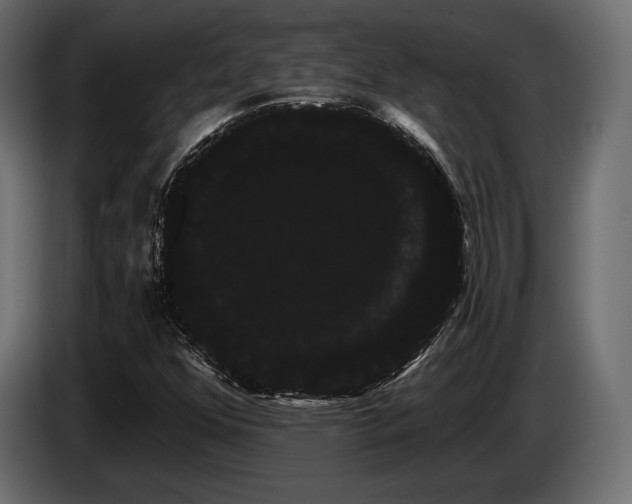 X0000085041352200703051341
