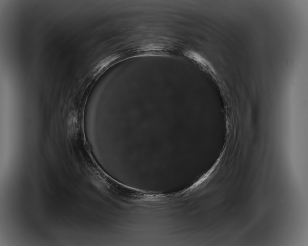 X0000085041353200703051341
