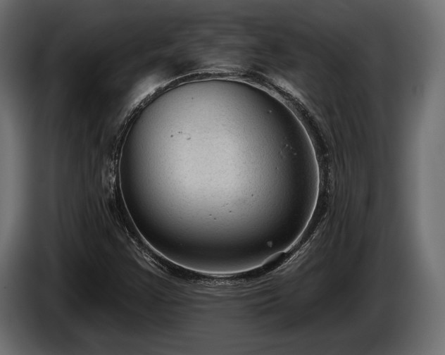 X0000085041355200703051341