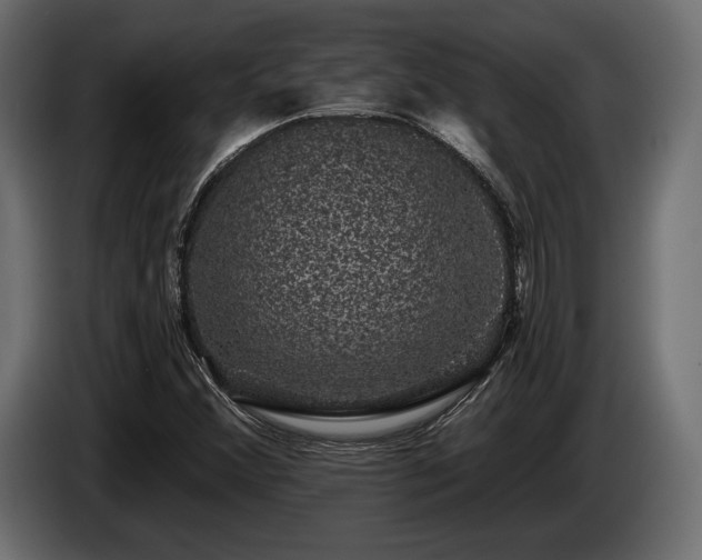 X0000085041356200703051341