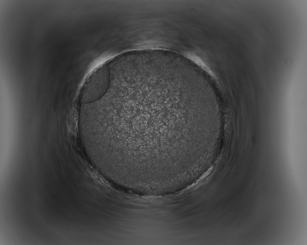 X0000085041358200703051341