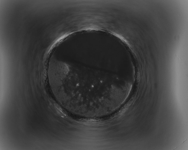 X0000085041359200703051341