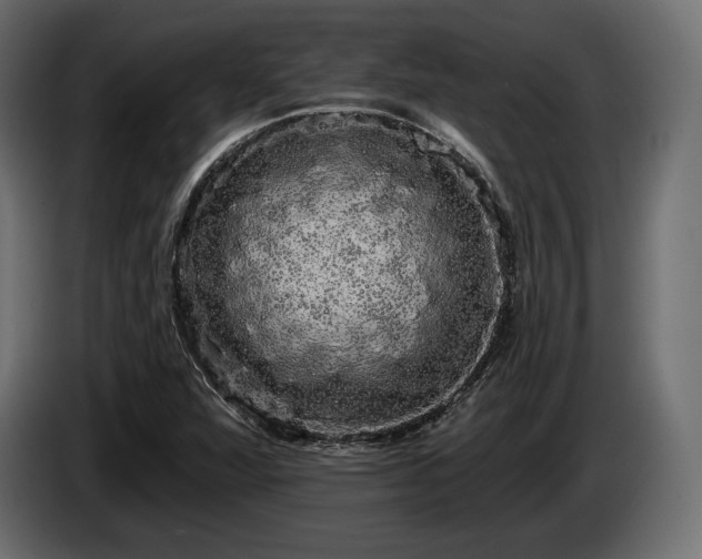 X0000085041360200703051341