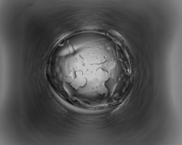 X0000085041361200703051341