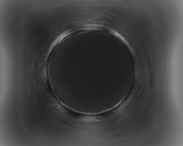 X0000085041362200703051341