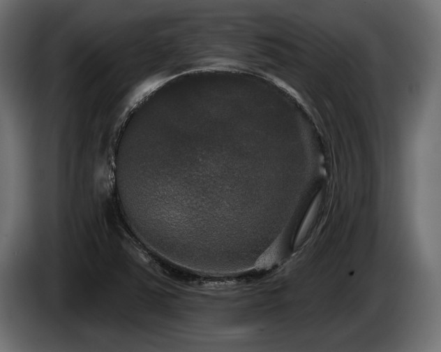 X0000085041363200703051341