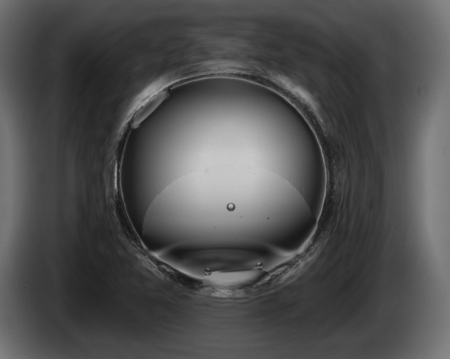 X0000085041365200703051341