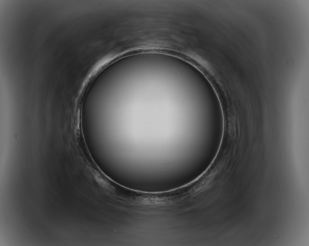 X0000085041366200703051341