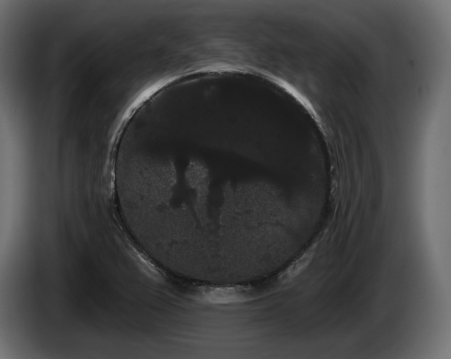 X0000085041367200703051341