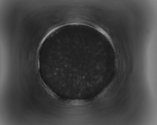 X0000085041368200703051341