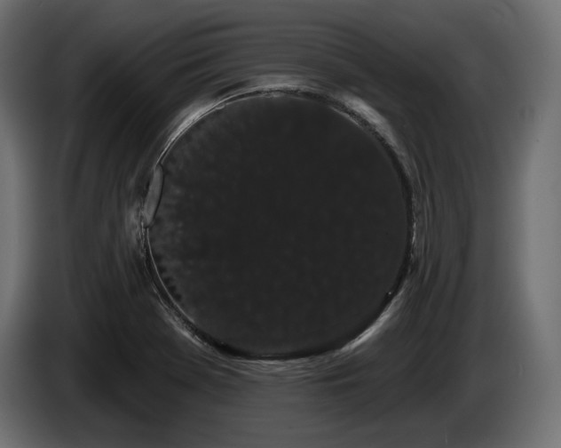 X0000085041369200703051341