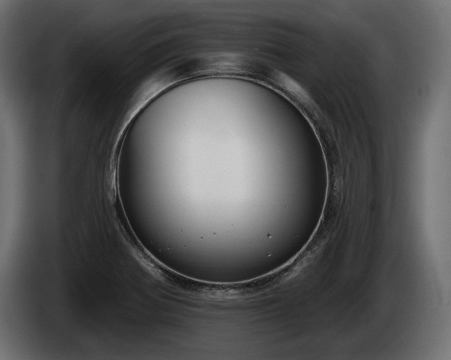 X0000085041370200703051341