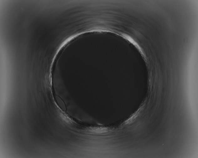 X0000085041372200703051341