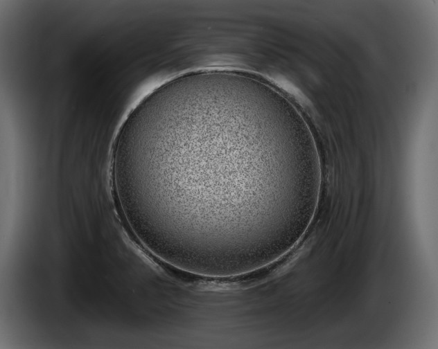 X0000085041374200703051341