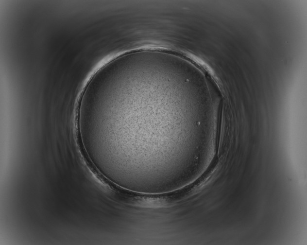 X0000085041375200703051341