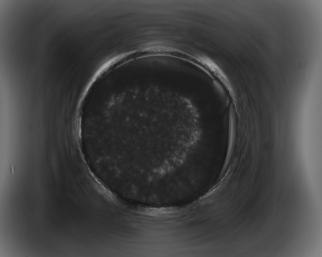 X0000085041376200703051341