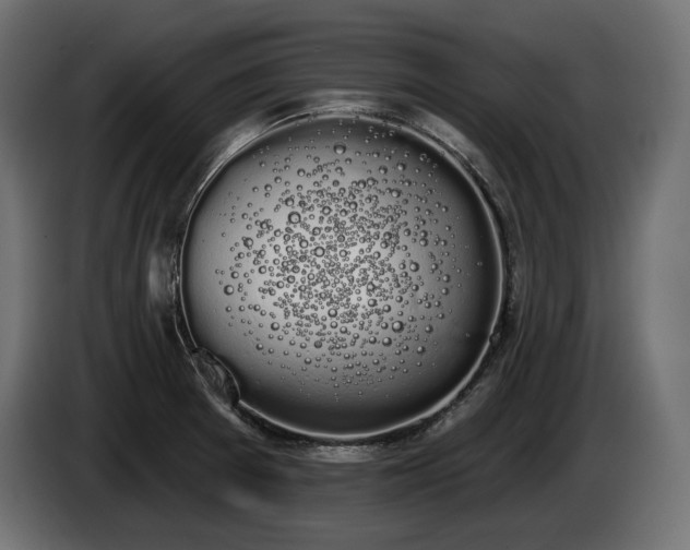 X0000085041377200703051341