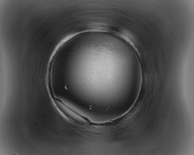 X0000085041379200703051341