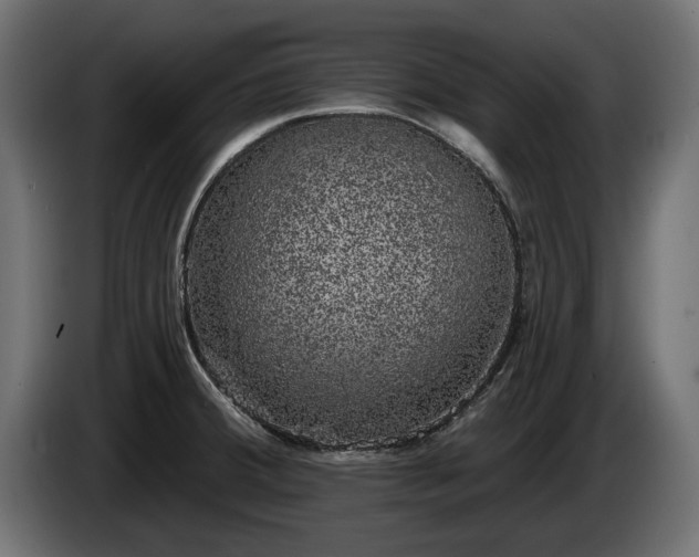 X0000085041380200703051341