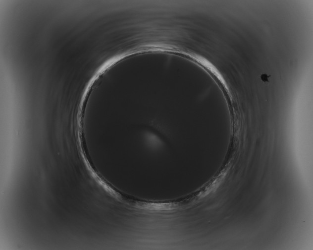 X0000085041381200703051341