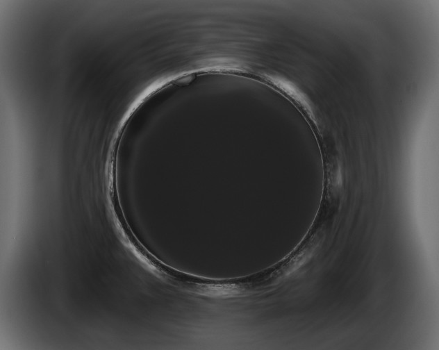 X0000085041383200703051341