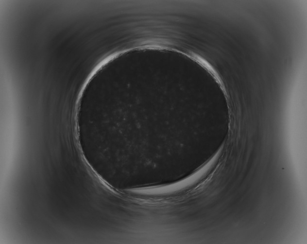 X0000085041384200703051341