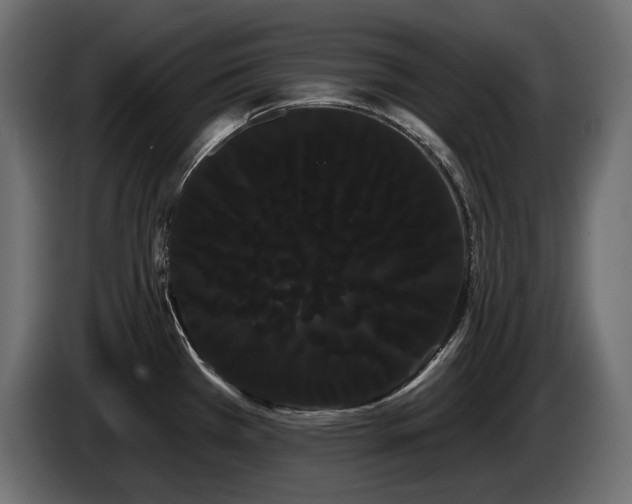 X0000085041385200703051341
