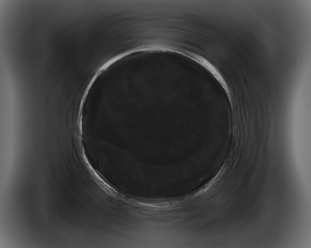 X0000085041388200703051341