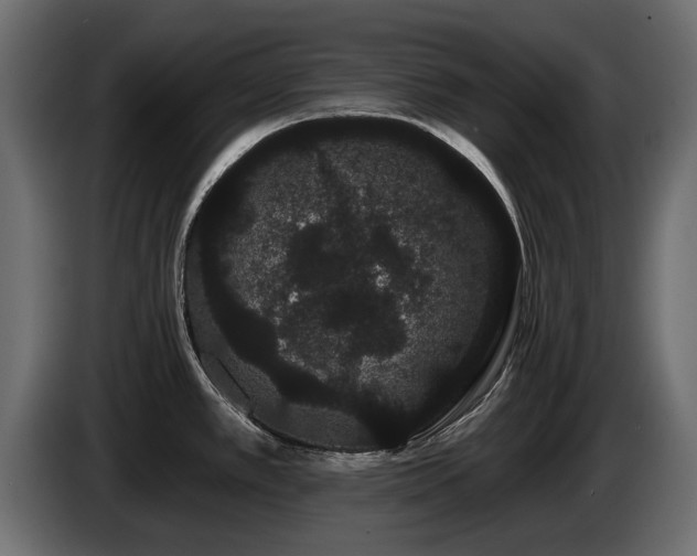 X0000085041389200703051341