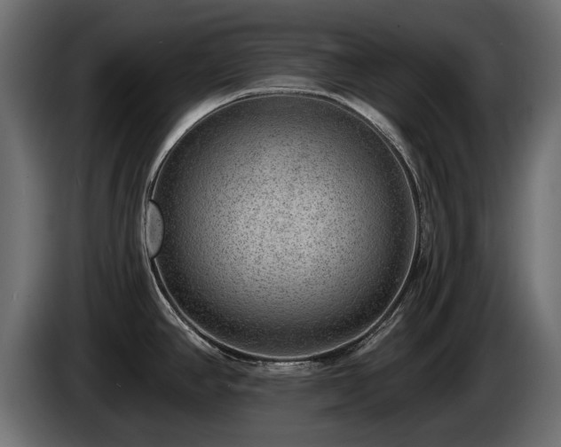 X0000085041390200703051341