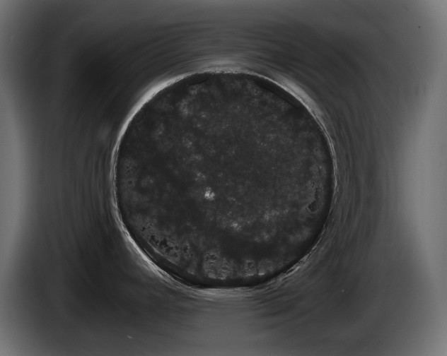 X0000085041392200703051341