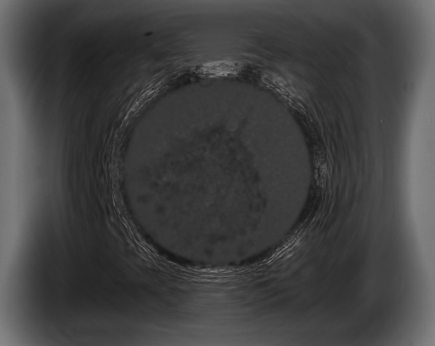 X0000085041393200703051340