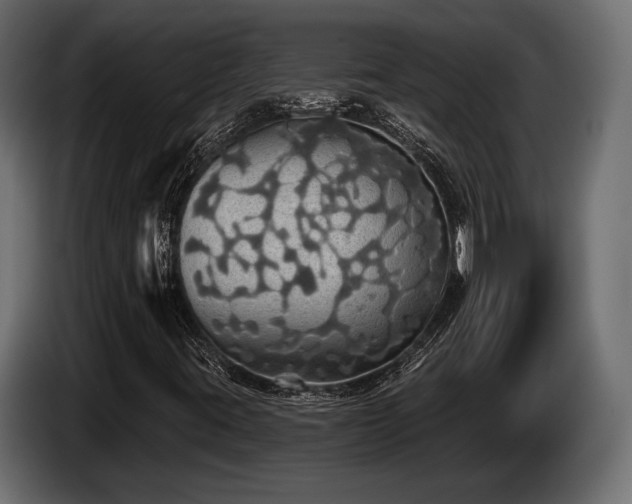 X0000085041395200703051340