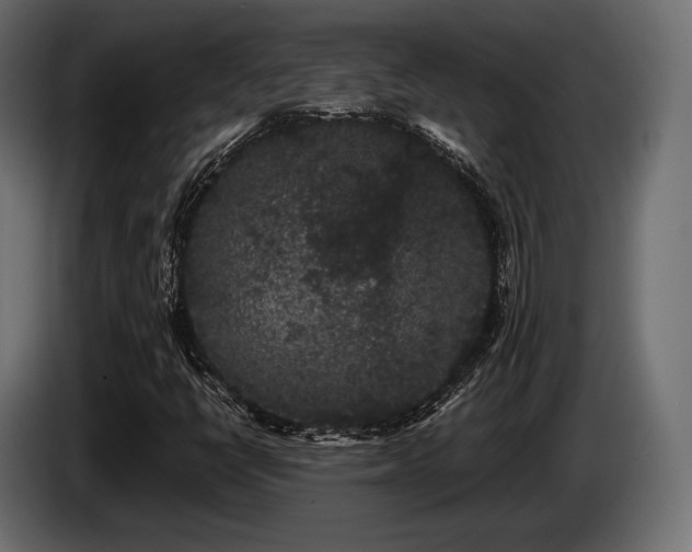 X0000085041398200703051340