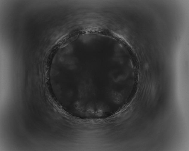 X0000085041399200703051340