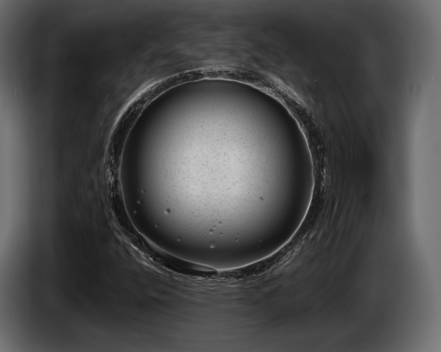X0000085041400200703051340