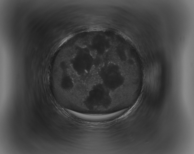 X0000085041401200703051340