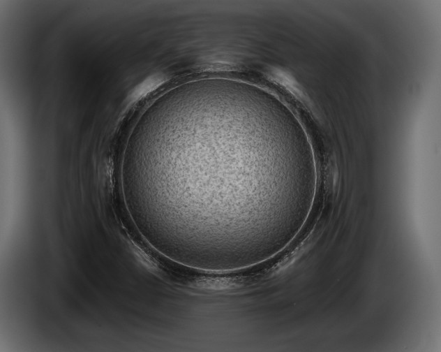 X0000085041402200703051340