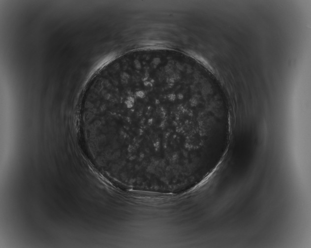 X0000085041405200703051340