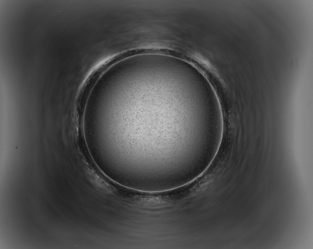 X0000085041408200703051340