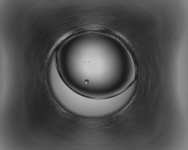X0000085041410200703051340