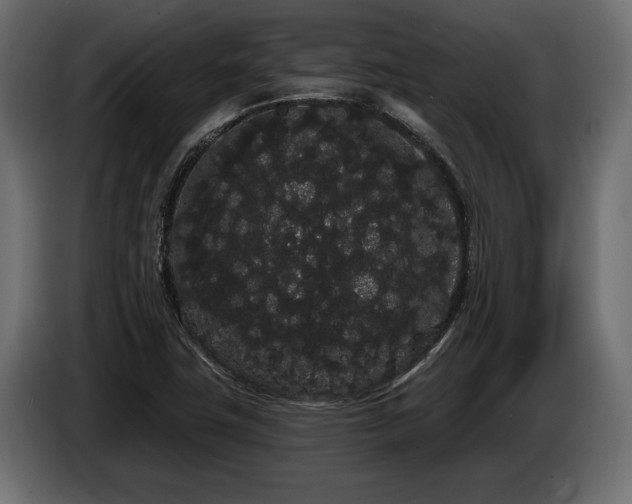 X0000085041411200703051340